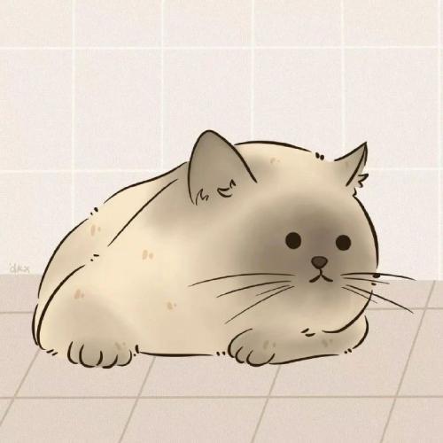ͷͬһᣬ¼ÿ˲