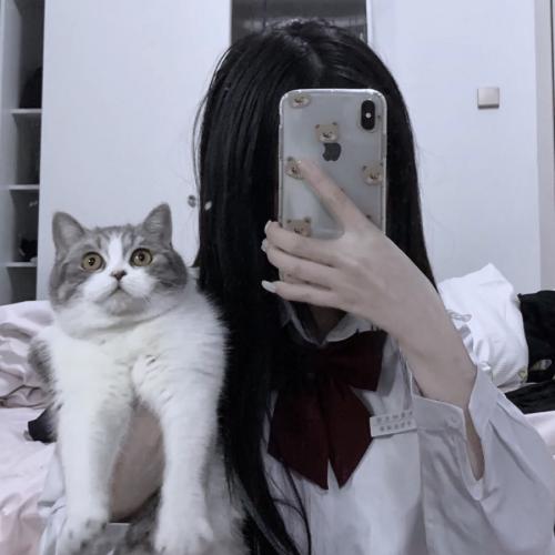 ŮͷͼƬ˸ܵ