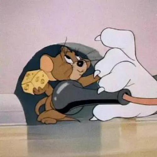 ΪԼͷչʾ