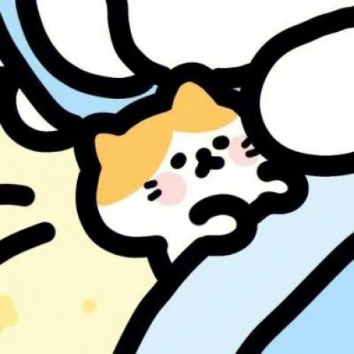 ΪԼͷչʾ
