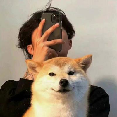 䳬ͷ˧