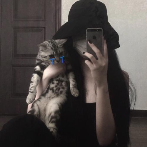 ŮͷͼƬƼǿ