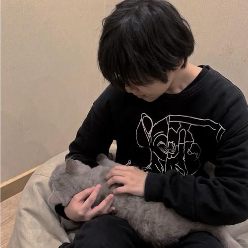 ͼͷУ˸еʺ