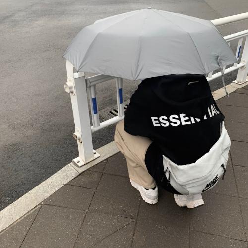 ͼͷУ˸еʺ