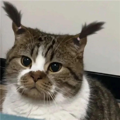 ˵İ磬ͷɫ٣ͨͷֿɰһ