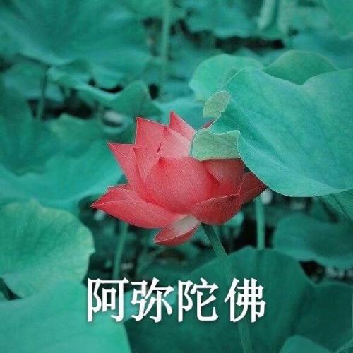 ͷͼƬͼƬΨ