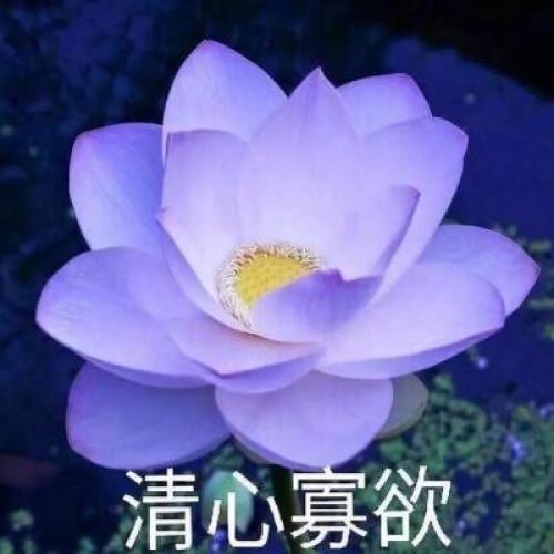 ͷͼƬͼƬΨ