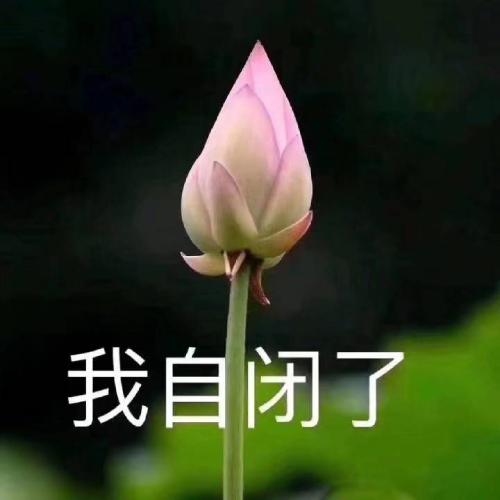 ͷͼƬͼƬΨ