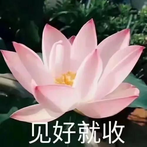 ͷͼƬͼƬΨ