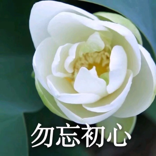 ͷͼƬͼƬΨ