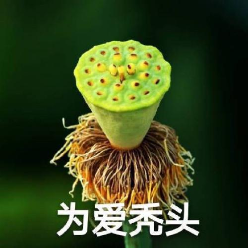 ͷͼƬͼƬΨ