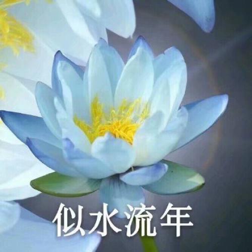 ͷͼƬͼƬΨ