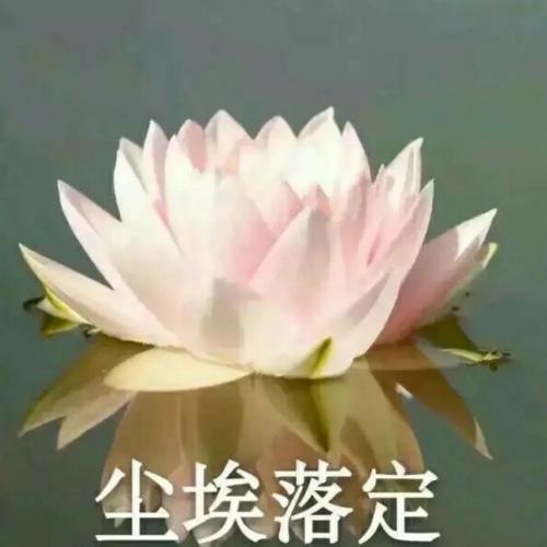 ͷͼƬͼƬΨ