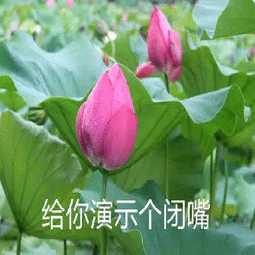 ͷͼƬͼƬΨ