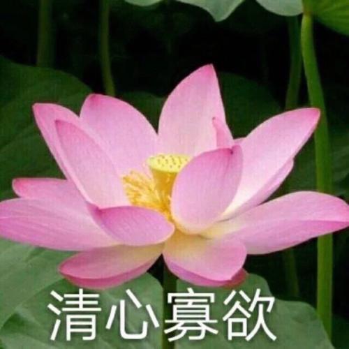 ͷͼƬͼƬΨ