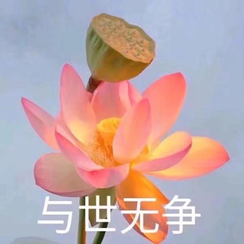 ͷͼƬͼƬΨ