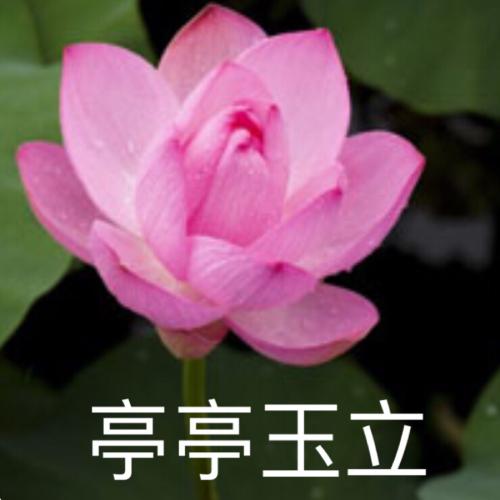 ͷͼƬͼƬΨ