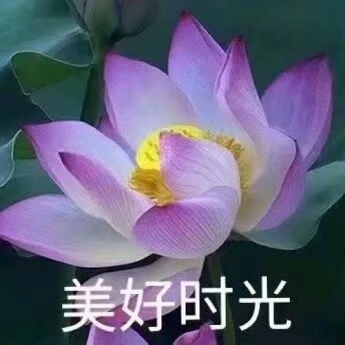 ͷͼƬͼƬΨ