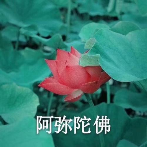 ͷͼƬͼƬΨ