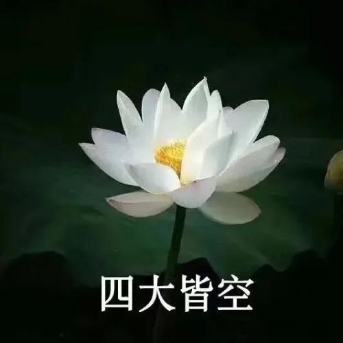 ͷͼƬͼƬΨ