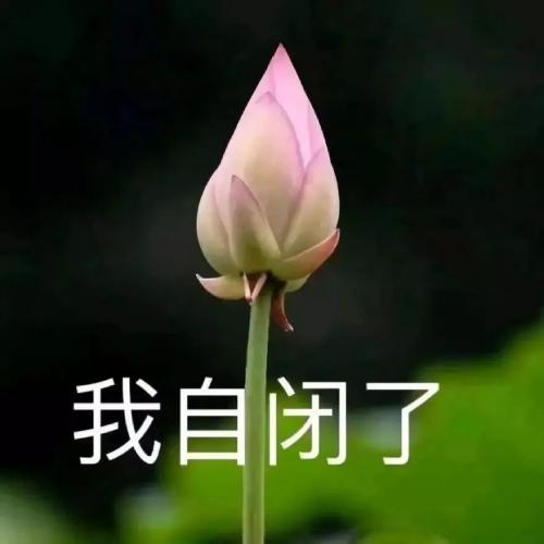 ͷͼƬͼƬΨ