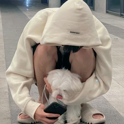 һų˧ͷչʾ
