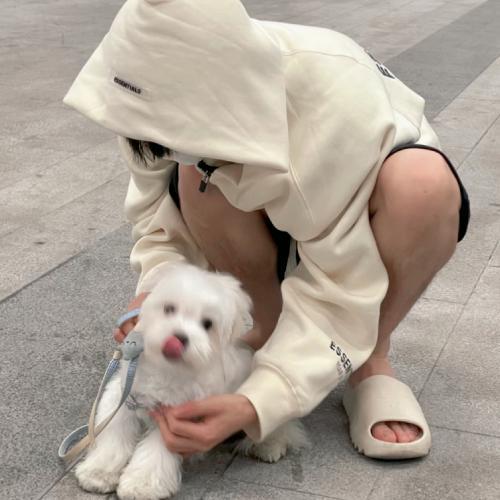 һų˧ͷչʾ