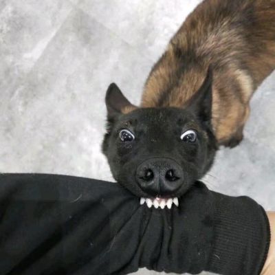 ð΢Цңͷд