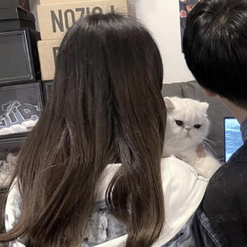 ͷ˫ˣͷ֮Ŧ