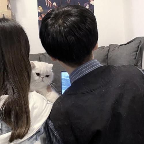 ͷ˫ˣͷ֮Ŧ