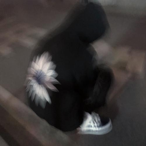ʿר΢ͷͼƬ