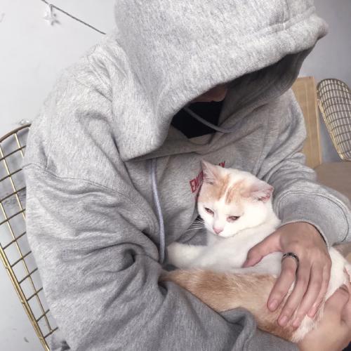 ˧ͷˣͼ㣬ÿ˶Ӧ׷Ŀ