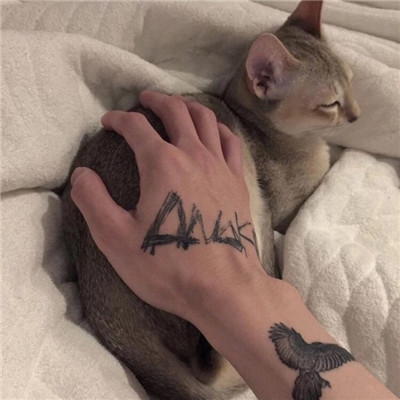 رзʵؾͷӵƷ