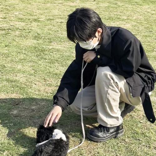 ѡ˧ͷ񣬴רʱ
