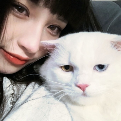 崿ŮͷչֳϾ崿Ϣ