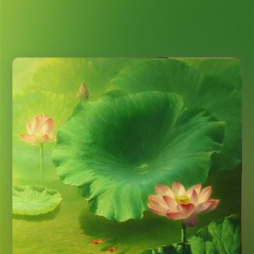 ͷĺɻͼƬ΢Ŷʹõ