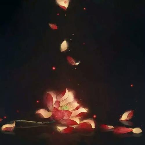 ŵȻɻͷ˱ﵭ֮