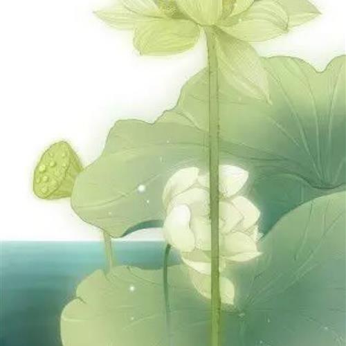 ŵȻɻͷ˱ﵭ֮