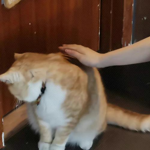 ͷĻУҸܵůӵ
