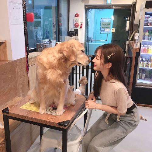 ŮͷɢϢ
