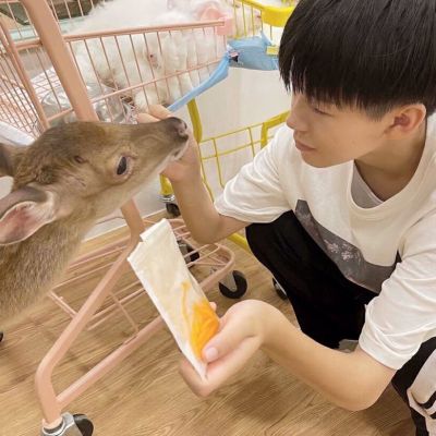 շǽ飬ͷ˼ᶨ
