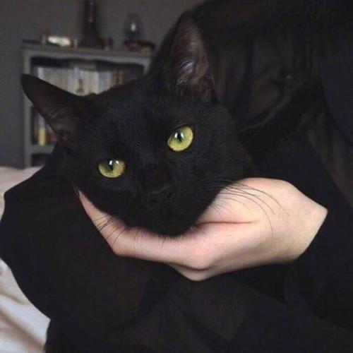 ѡ˧ͷᷢԼֻͣͷ