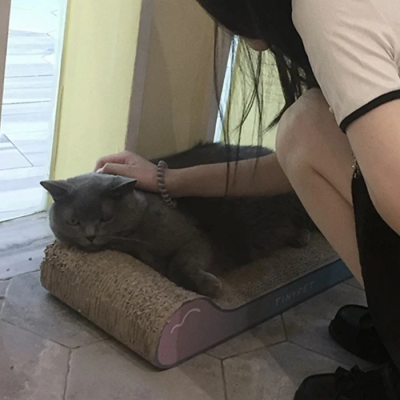 ໥ģͷ˭