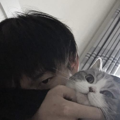 ˧ͼƬͷʵƬ壬ź