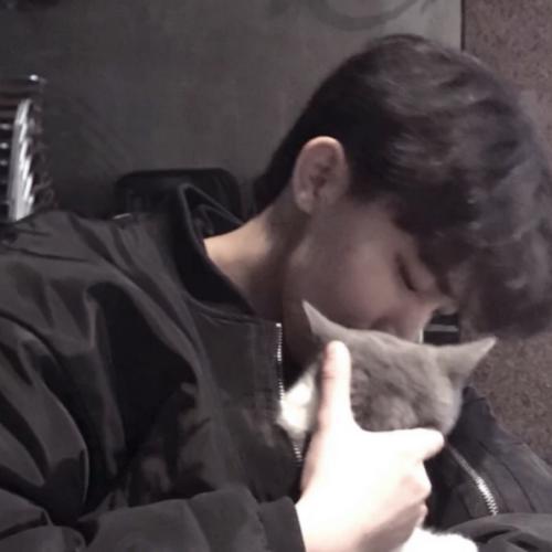ѡһ˧ͷ񣬾ΪԼһµʱб׼