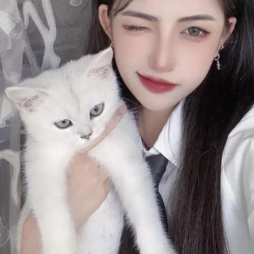 ֺзΧеͷϼ