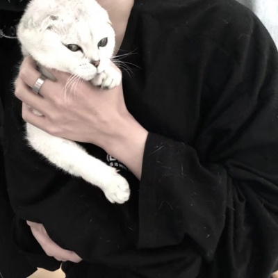 ˧ͷͼƬ